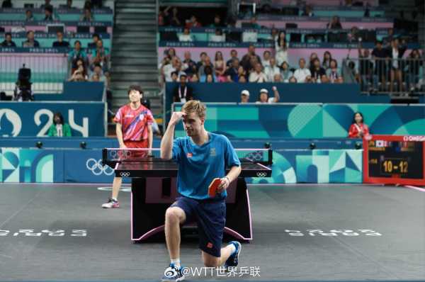 反哺阵容 反哺阵容